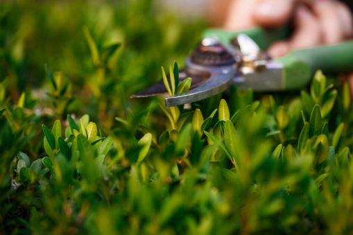 GEFA Bau | Tiefbau | Gartenbau